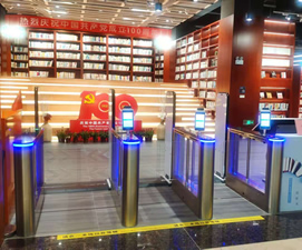 江海區(qū)圖書館擺閘效果圖片